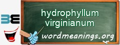WordMeaning blackboard for hydrophyllum virginianum